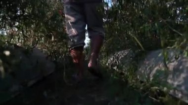 Pirinç Tarlaları nda Yürürken, Yerel Çiftçi'yi Takip Eden Wiev'in Noktası Vuruldu. Tarım kavramı