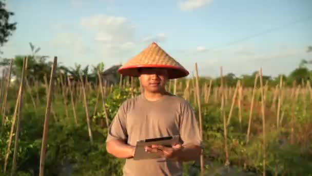 Asian Farmers Oversee His Fields Sophisticated Technology Agriculture Concept — Stock Video