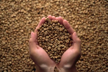 el tutan kahve çekirdekleri. Üstte görüntü