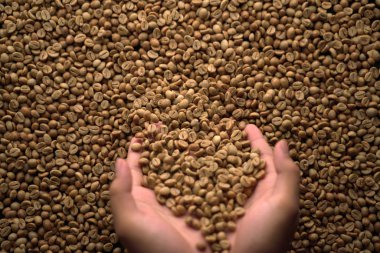 bir el kahve çekirdekleri kusuyor