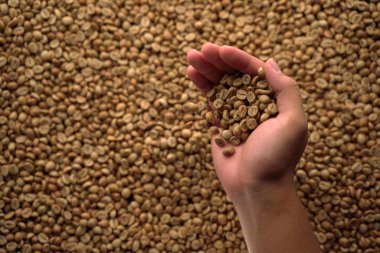 kahve çekirdekleri kusan bir el