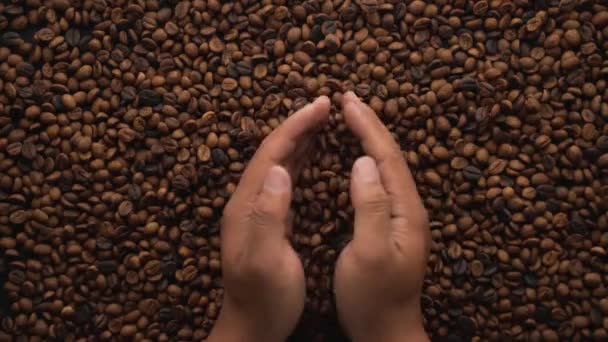 Manos Tomar Café Frijoles Arriba — Vídeo de stock