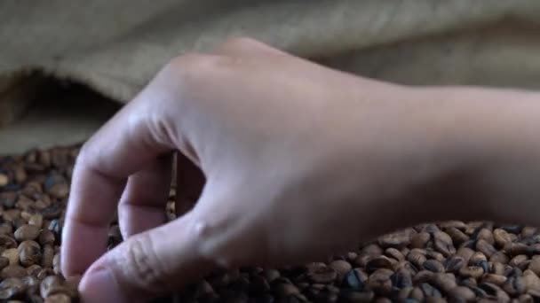 Mano Toma Grano Café — Vídeo de stock