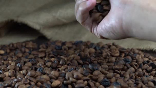 コーヒー豆を吐く手 — ストック動画