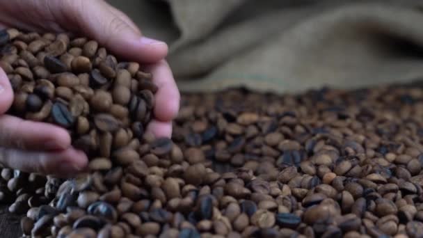 手を取り コーヒーの山にコーヒー豆を注ぐ — ストック動画
