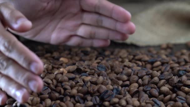 手を取り コーヒーの山にコーヒー豆を注ぐ — ストック動画