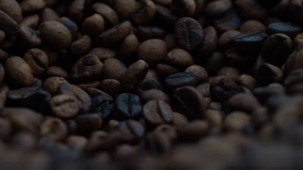 Закрыть Вращающиеся Жареные Кофейные Зерна — стоковое видео
