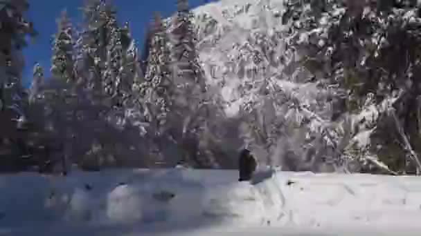 ヨセミテ国立公園の雪の冬の風景を楽しむ若い女の子 — ストック動画