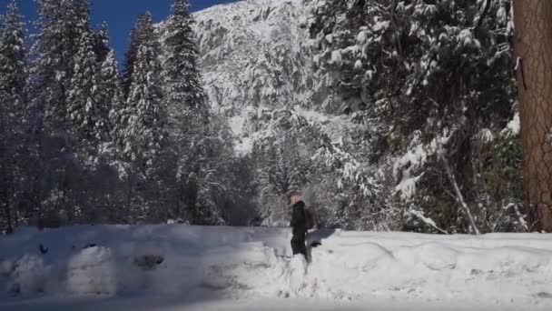 Young Girl Enjoying Snowy Winter Landscape Yosemite National Park — Stock Video