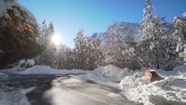 Een Besneeuwd Winterlandschap Yosemite National Park — Stockvideo