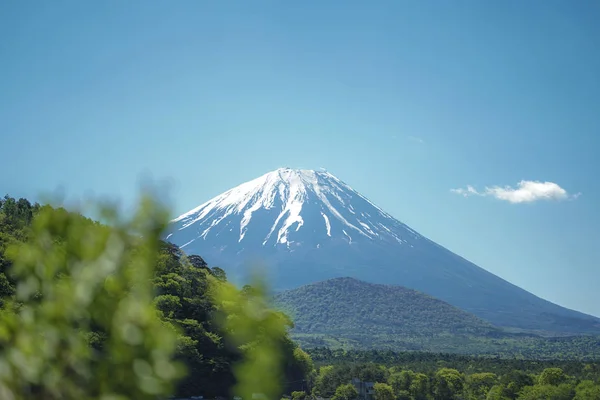 Kawaguchiko Gölü Ndeki Lavanta Tarlasından Fuji Sahnesi Yamanashi Bölgesi Japonya — Stok fotoğraf