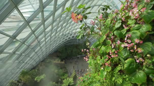 Gigantische Structuur Met Planten Bloemen Sterrenwacht Bovenop Het Klimaatgecontroleerde Koepelwolkenbos — Stockvideo