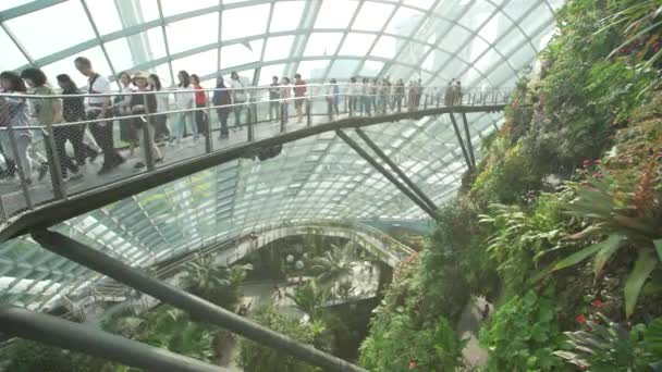 Ismeretlen Emberek Látogatják Gardens Bay Szingapúrban Szingapúr — Stock videók