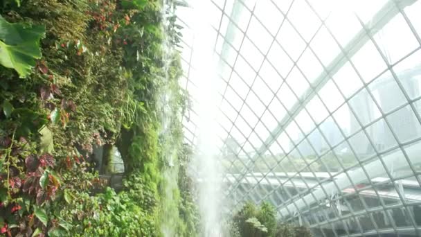 Pavillon Cloud Forest Cascade Jardins Près Baie — Video