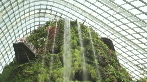 Cloud Forest Paviljoen Waterval Tuinen Aan Baai — Stockvideo