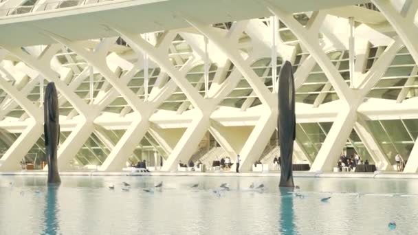 Stavba Stavebního Mostu Přes Řeku Slunečného Dne Valencii — Stock video