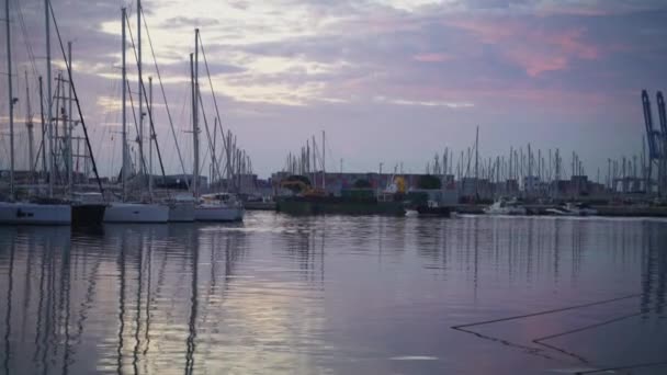 Barcos Motor Lujo Royal Marina Valencia España Algunos Amarrados Otros — Vídeo de stock