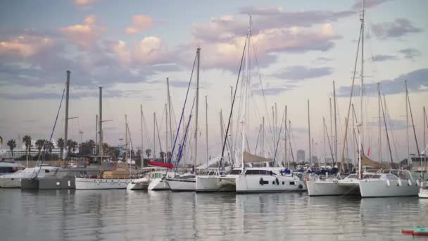 Luxe Motorboten Royal Marina Valencia Spanje Sommige Aangemeerd Anderen Varen — Stockvideo