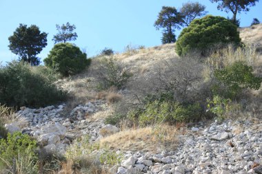 la costa del sol de arrollo de la miel benalmadena