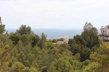 Costa del Sol Malaga, balayı şehri.