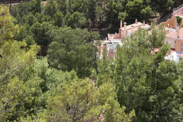 Costa del Sol Malaga, balayı şehri.