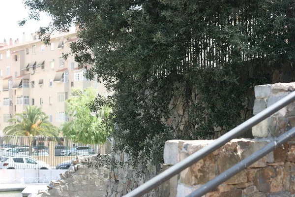 costa del sol malaga şehri