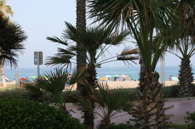 Endülüs'teki Costa del Sol plajları