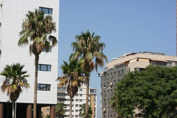 Herbergt Mediterrane Costa Del Sol Andaluca — Stockfoto