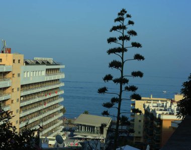 Endülüs kıyısında bina