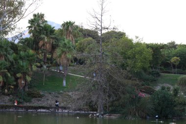La Dove İspanya'da eğlence parkı