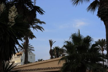 del Sol plajlarında tatil, Endülüs