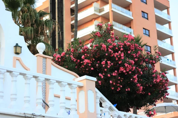 del Sol plajlarında tatil, Endülüs