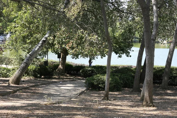 Malaga en iyi milli parklar ve çevre ve manzara keyfini çıkarın