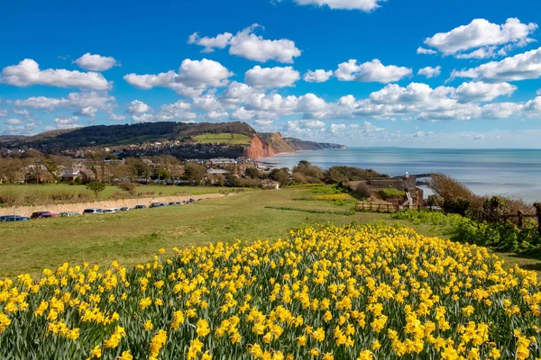 Sidmouth, Dorset, İngiltere