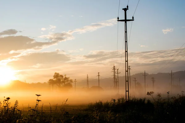 sunset in a field with lots of vegetation, trees and electricity poles. walk through the crepuscular area. fog at ground level. as if it were part of a dream