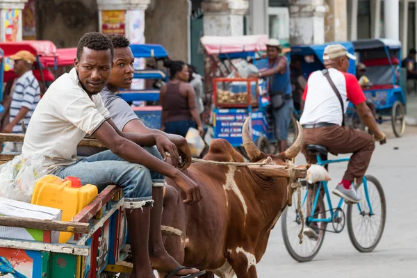 Toliara Madagascar Gennaio 2019 Due Uomini Malgasci Carretto Legno Trainato — Foto Stock