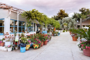 Yunan tavernası-Volos, Yunanistan.
