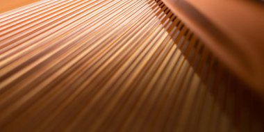 Kuyruklu piyano dizeleri deseni.