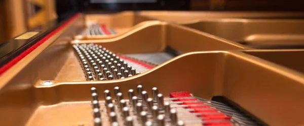 Piano tuning pins.