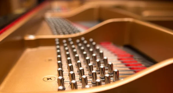 Piano tuning pins. — Stock Photo, Image