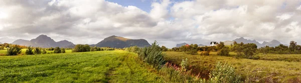 Paysage d'herbe et de montagnes à Leknes, Norvège . — Photo