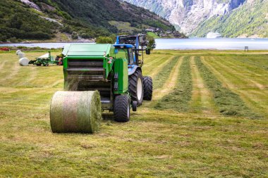 Geiranger bir alanda yuvarlak balya boşaltma ile küçük traktör.