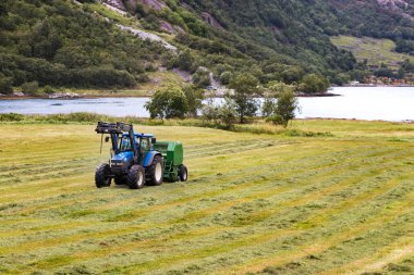 Geiranger bir alanda yuvarlak balya saman ile küçük traktör.