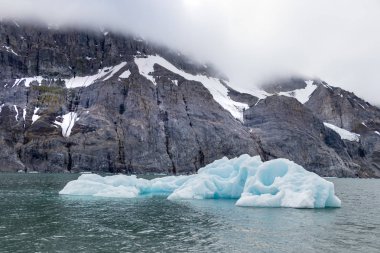 Buzul Burgerbukta, Svalbard etrafında yüzen buz.