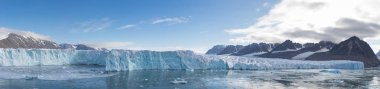 Liefdefjord'daki Monakobreen Buzulu, Svalbard, Norveç