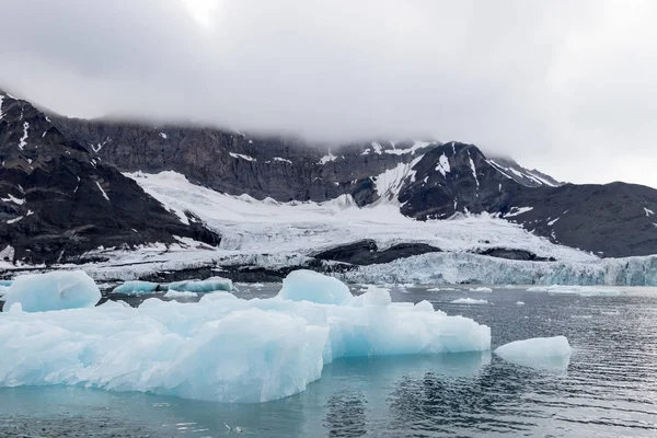 Hielo flotando alrededor del glaciar Burgerbukta, Svalbard . — Foto de Stock