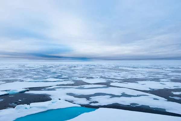Borda de gelo a 82 41,01 graus a norte de Svalbard . — Fotografia de Stock