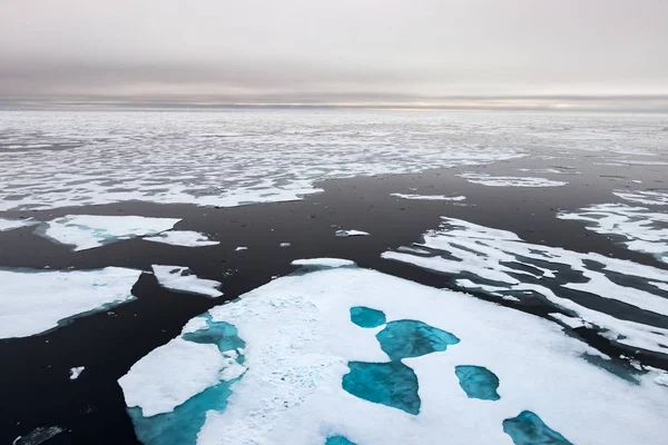 Borda de gelo a 82 41,01 graus a norte de Svalbard . — Fotografia de Stock
