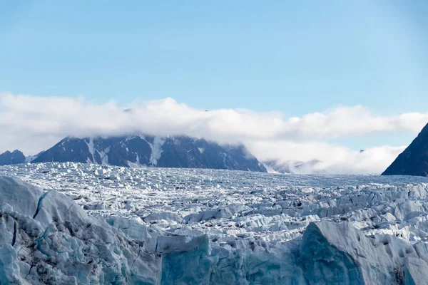 挪威斯瓦尔巴群岛利弗德峡湾的摩纳哥布林冰川 — 图库照片