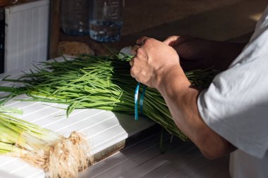 Mauritius Port Louis pazarında Erkek el bağlama bahar yeşil kuyruk soğan.